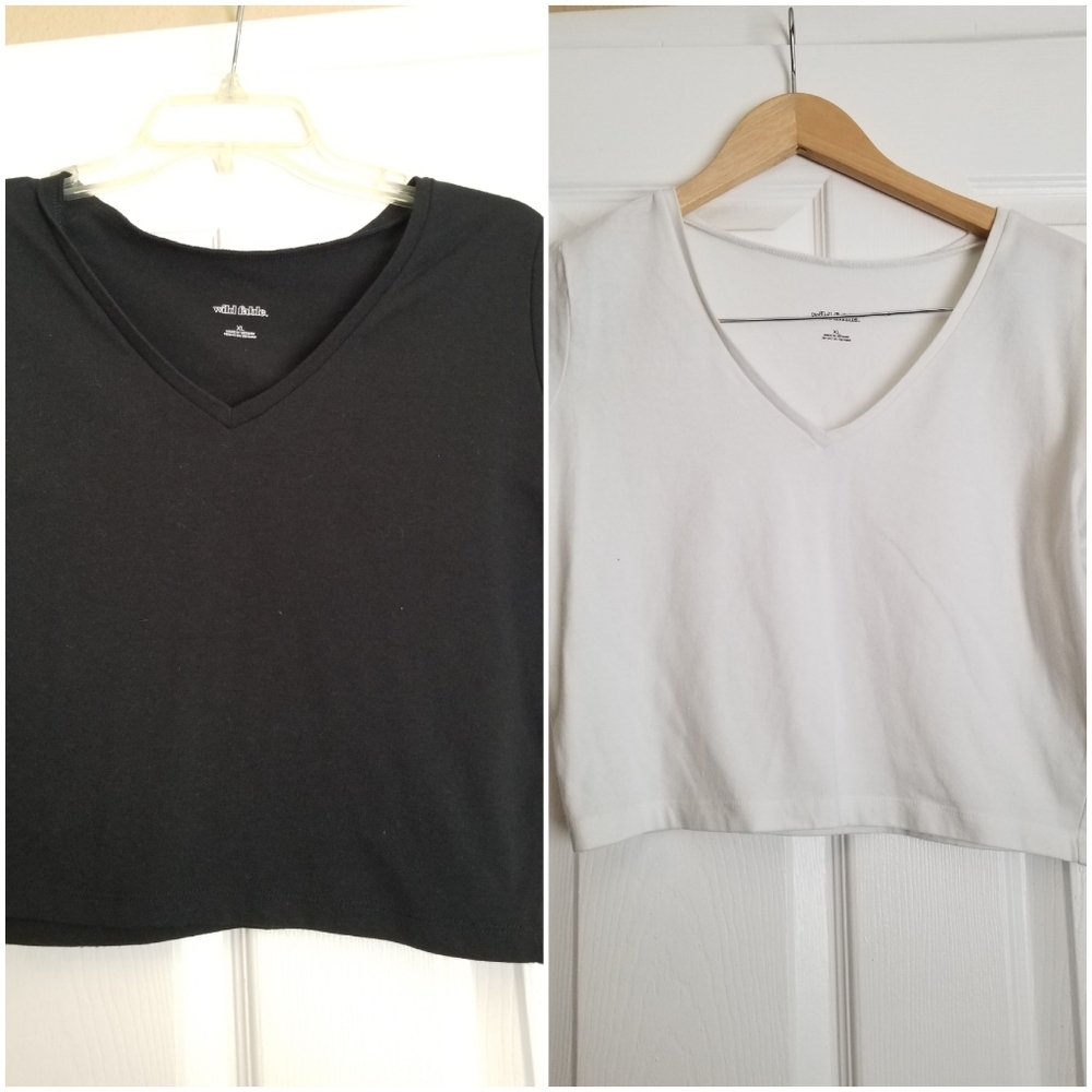 💝 2 Wild Fable Crop Tops